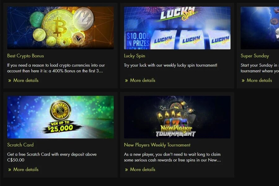 Rich Casino Bonuses and Promotions Explained